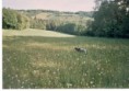 /album/fotogalerie-arka-z-lomnickych-strani/scan-jpg1/