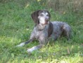 /album/fotogalerie-arka-z-lomnickych-strani/img-0695-jpg1/
