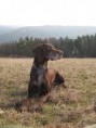 /album/fotogalerie-cita-z-lomnickych-strani/img-0481-jpg/