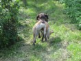 /album/fotogalerie-cita-z-lomnickych-strani/img-0828-jpg1/