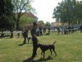 /album/fotogalerie-vystavy-zkousky/img-2658-jpg/