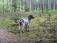 /album/fotogalerie-ostatni/img-3199-jpg/