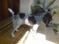 /album/fotogalerie-vrh-e/p1010779-jpg/